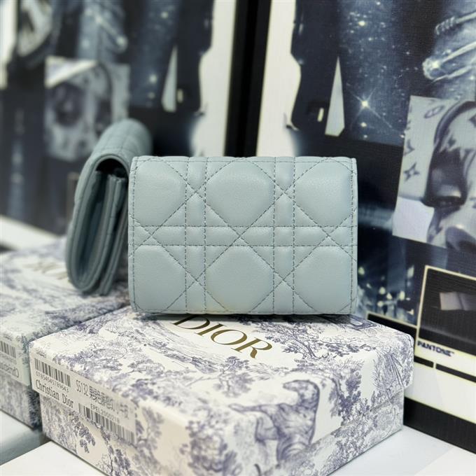 2025228Y 220P182145569